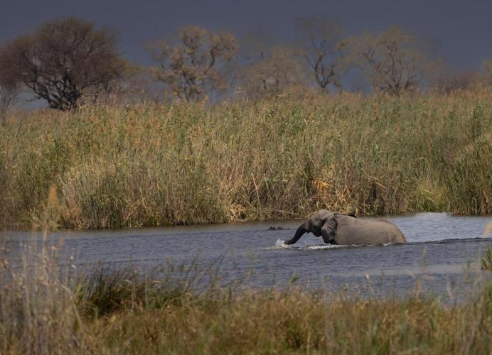 WEB_JN_2023_BOTSWANA_1333