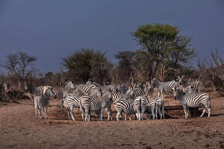 WEB_JN_2023_BOTSWANA_4642