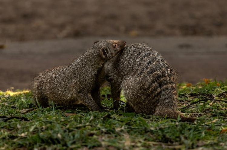 WEB_JN_2023_BOTSWANA_6756