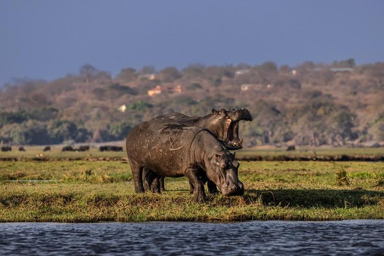 WEB_JN_2023_BOTSWANA_7119