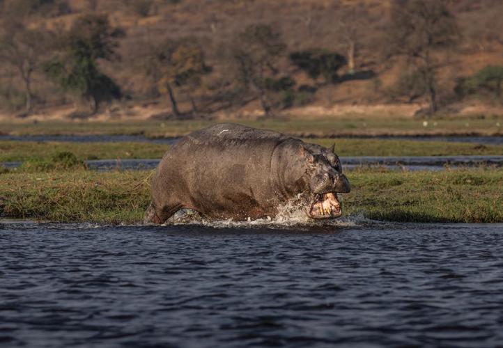 WEB_JN_2023_BOTSWANA_7163