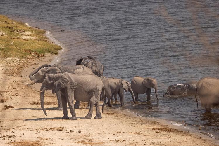 WEB_JN_2023_BOTSWANA_9396