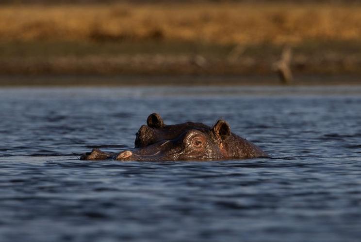 WEB_JN_2023_BOTSWANA_9637