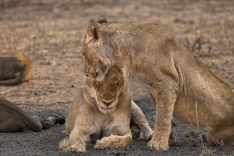 WEB_JN_2023_CHOBE_0007