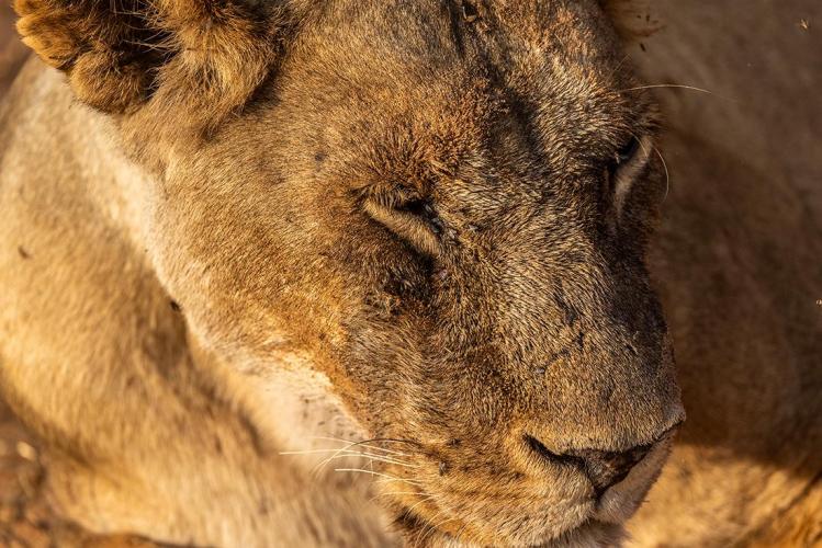 WEB_JN_2023_CHOBE_0049