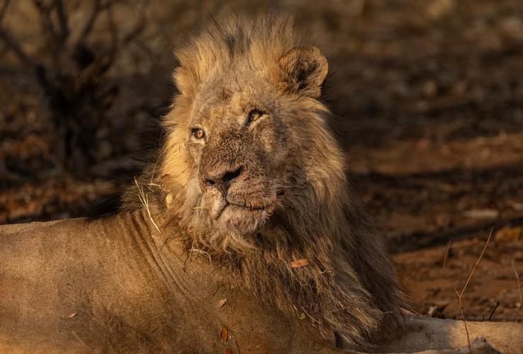 WEB_JN_2023_CHOBE_0124
