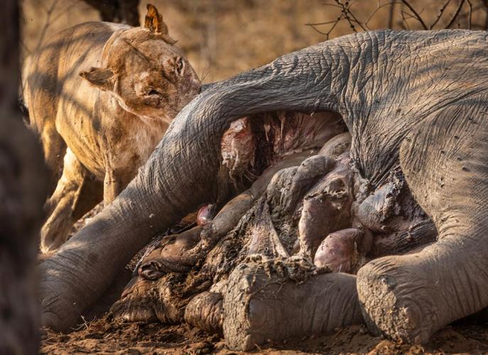 WEB_JN_2023_CHOBE_0399