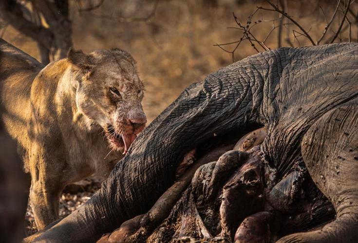 WEB_JN_2023_CHOBE_0409