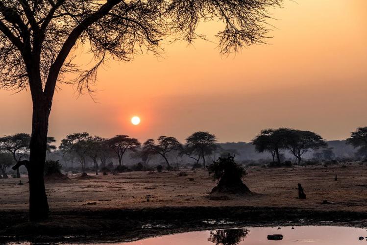 WEB_JN_2023_CHOBE_4788