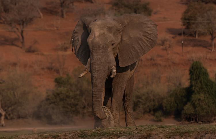 WEB_JN_2023_CHOBE_5847