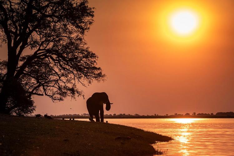 WEB_JN_2023_CHOBE_6106