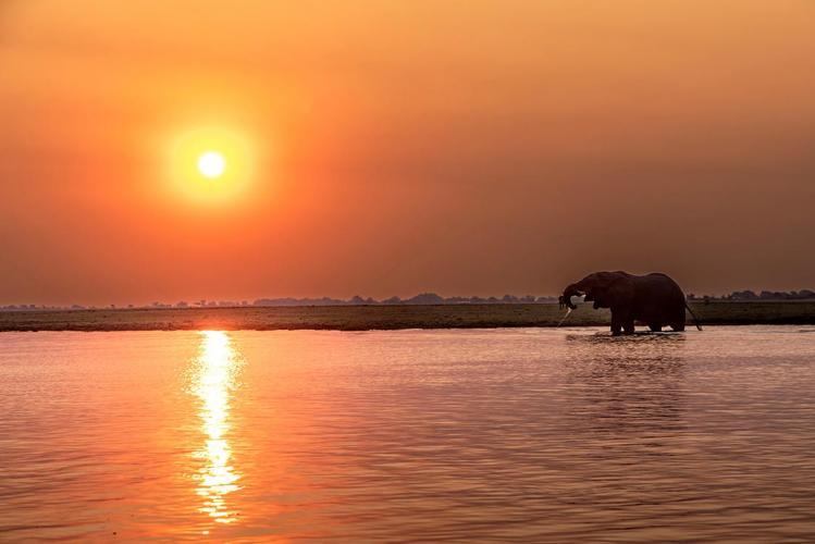 WEB_JN_2023_CHOBE_6187