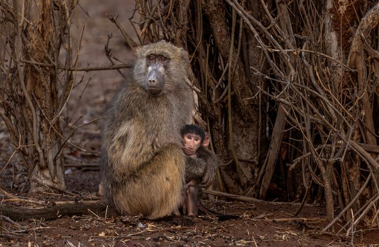 WEB_JN_2023_CHOBE_9695