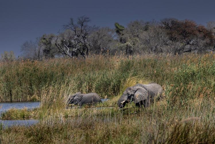 WEB_JN_2023_MOREMI_1306
