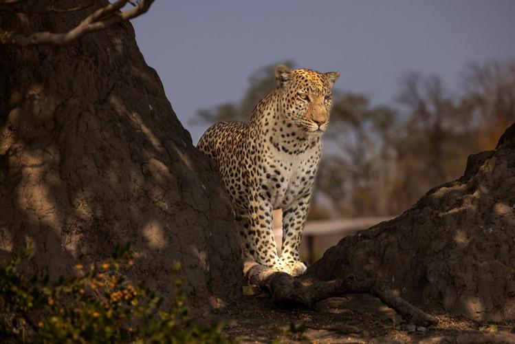 WEB_JN_2023_MOREMI_5405