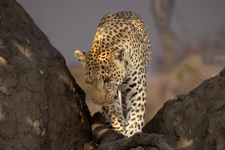 WEB_JN_2023_MOREMI_5434
