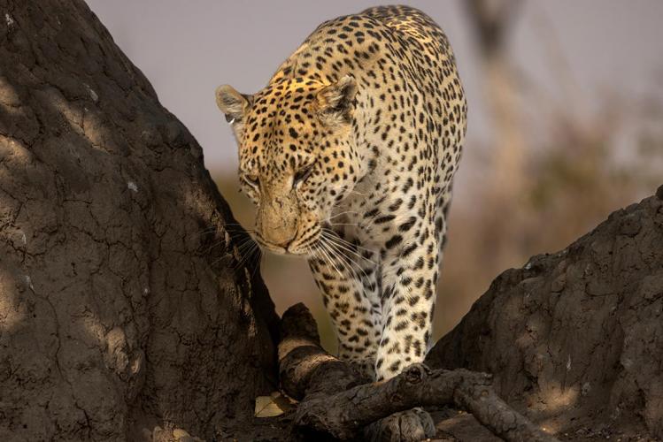 WEB_JN_2023_MOREMI_5437
