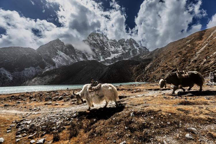 WEB_JN_2023_NEPAL_2163