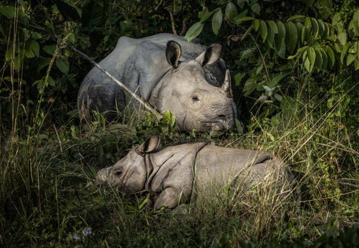 WEB_JN_2023_NEPAL_2727