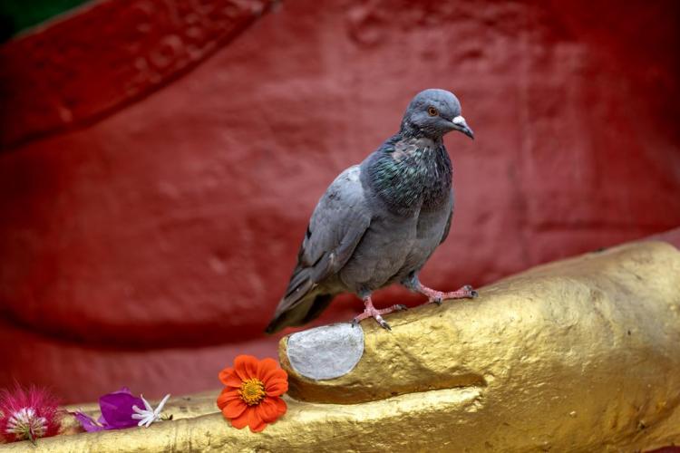 WEB_JN_2023_NEPAL_3528