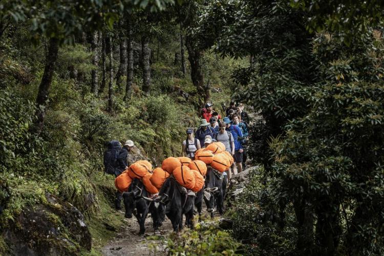 WEB_JN_2023_NEPAL_4312