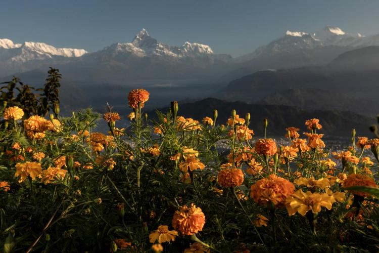 WEB_JN_2023_NEPAL_5305