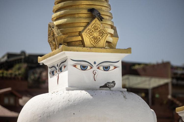 WEB_JN_2023_NEPAL_7148