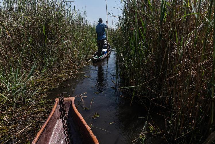 WEB_JN_2023_OKAVANGO_4419