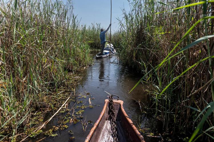 WEB_JN_2023_OKAVANGO_4428