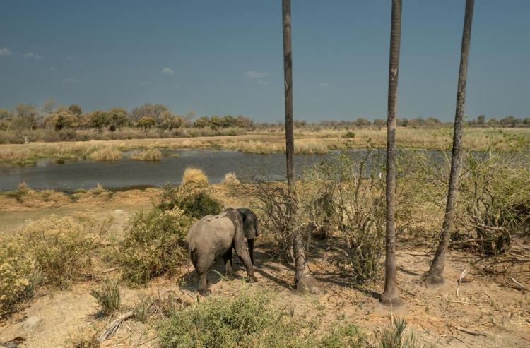 WEB_JN_2024_BOTSWANA_0141