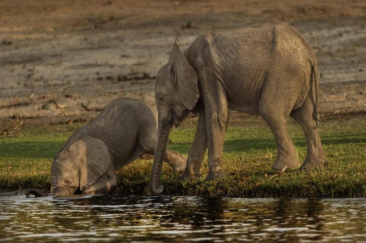 WEB_JN_2024_BOTSWANA_0370