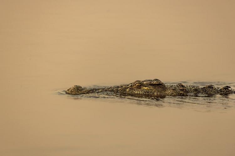 WEB_JN_2024_BOTSWANA_1192
