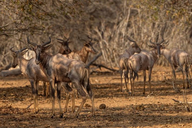 WEB_JN_2024_BOTSWANA_1865