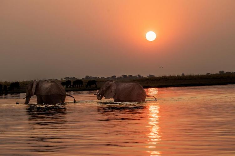 WEB_JN_2024_BOTSWANA_1885