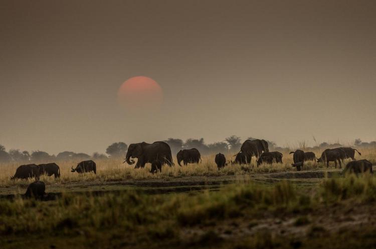 WEB_JN_2024_BOTSWANA_2374