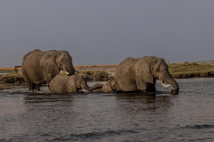 WEB_JN_2024_BOTSWANA_2586
