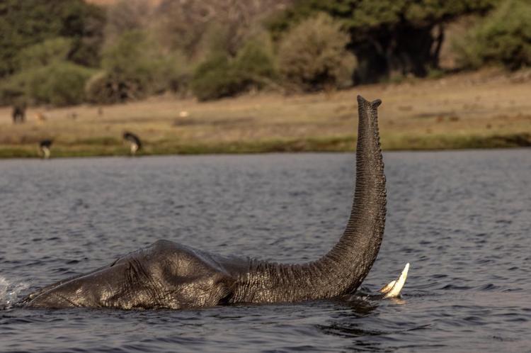 WEB_JN_2024_BOTSWANA_2671