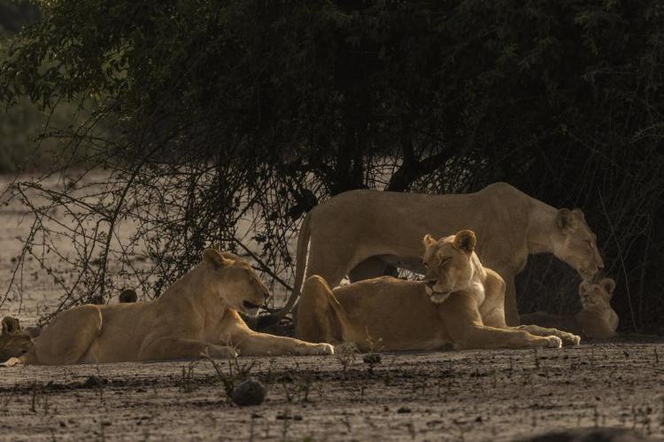 WEB_JN_2024_BOTSWANA_3610