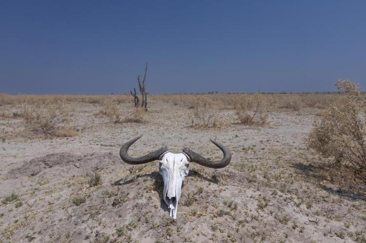 WEB_JN_2024_BOTSWANA_3897