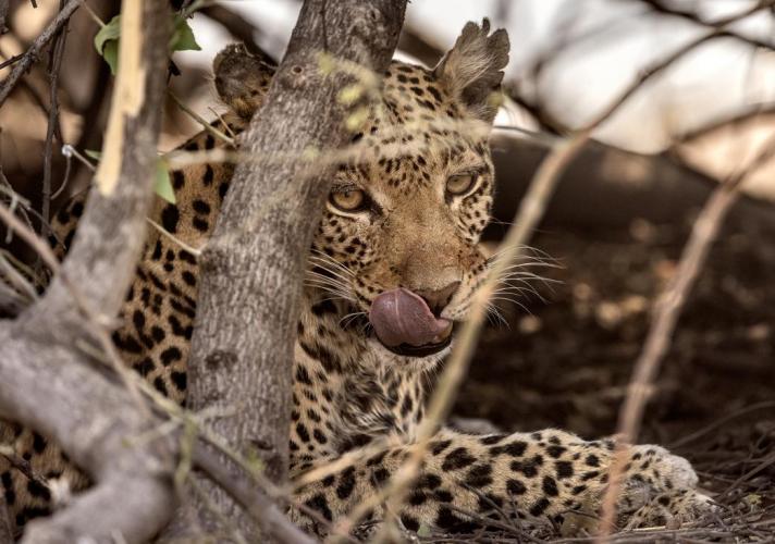 WEB_JN_2024_BOTSWANA_4040