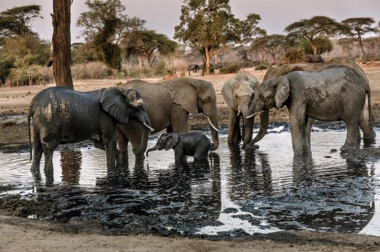 WEB_JN_2024_BOTSWANA_4208