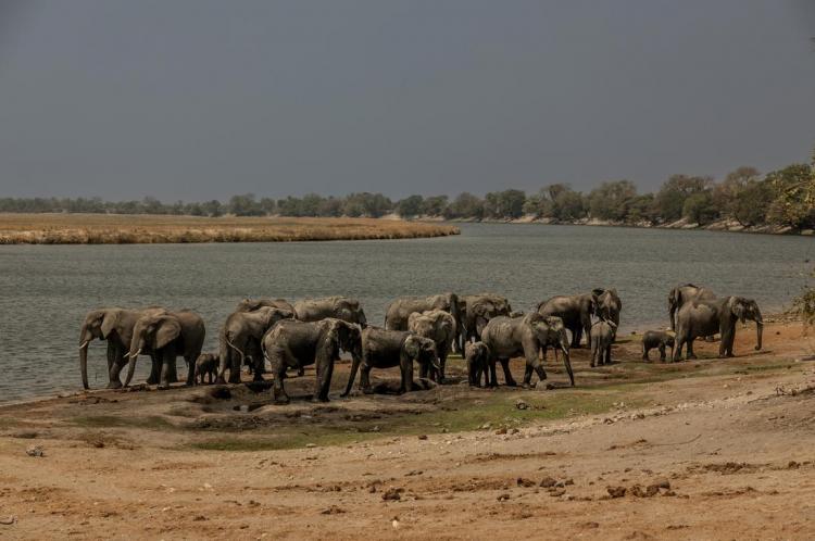 WEB_JN_2024_BOTSWANA_4487