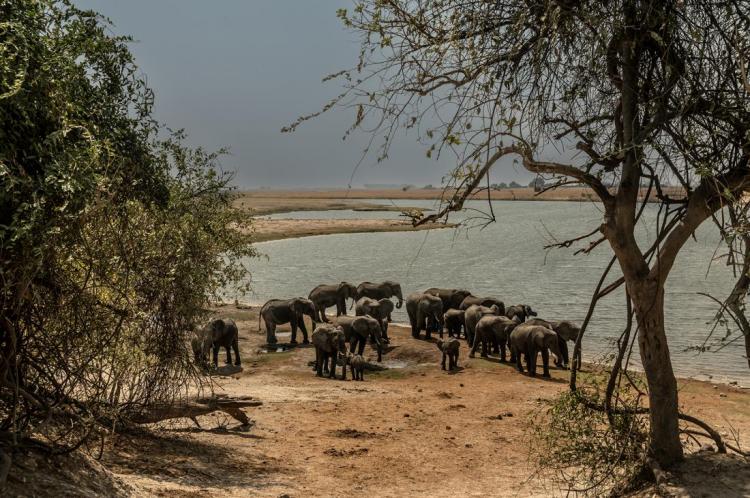 WEB_JN_2024_BOTSWANA_4498