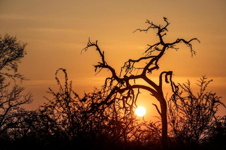 WEB_JN_2024_BOTSWANA_5489