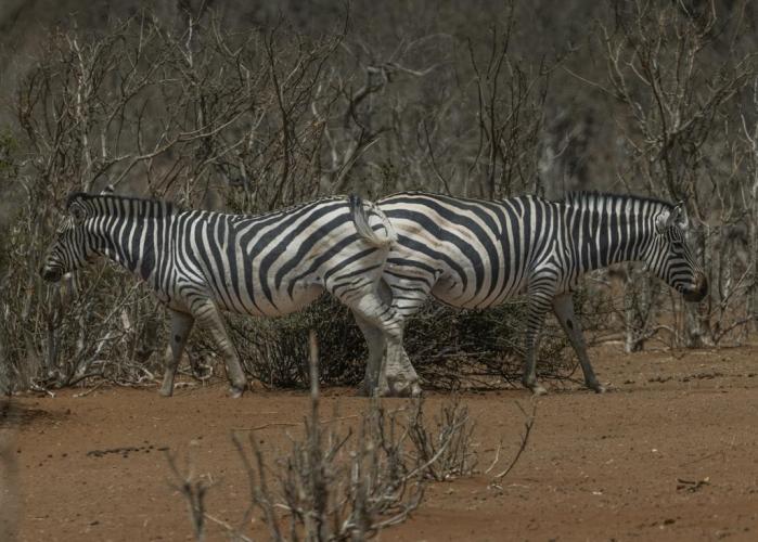 WEB_JN_2024_BOTSWANA_6532
