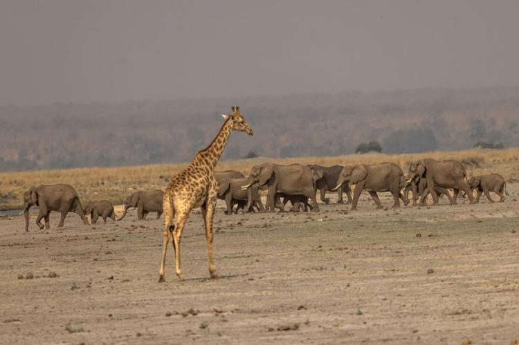 WEB_JN_2024_BOTSWANA_7750
