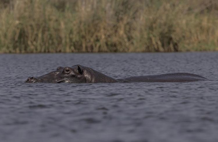 WEB_JN_2024_BOTSWANA_8089