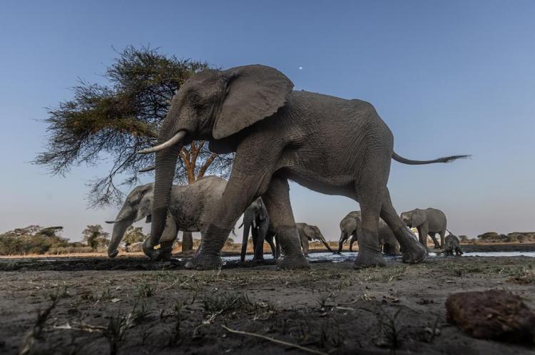 WEB_JN_2024_BOTSWANA_8445