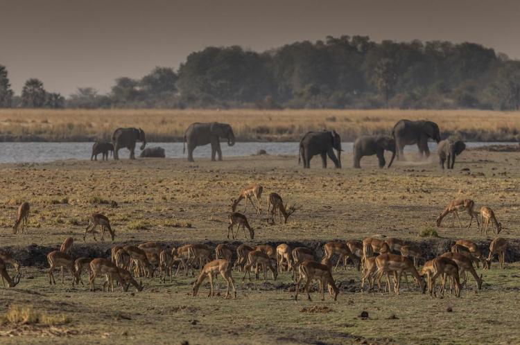 WEB_JN_2024_BOTSWANA_8467