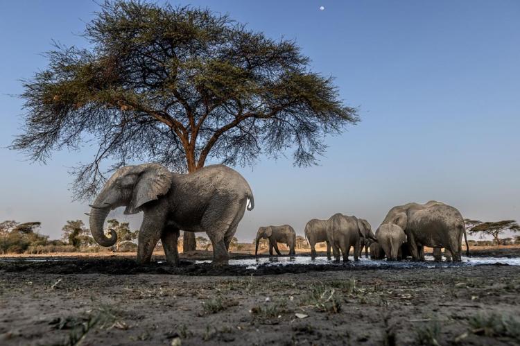 WEB_JN_2024_BOTSWANA_8470